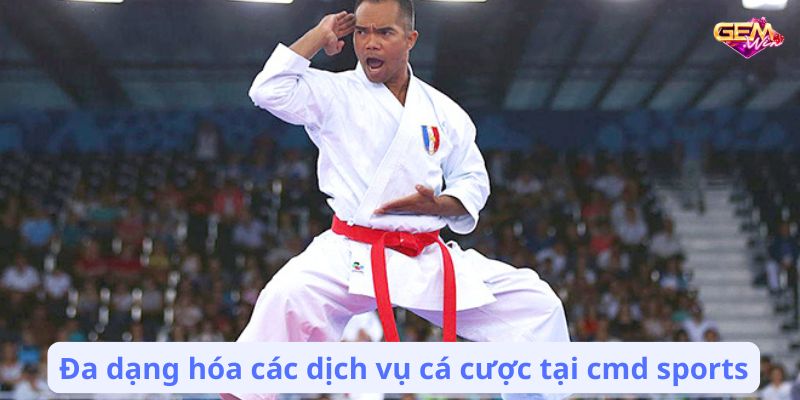 cmd sports 3 Đa dạng hóa các dịch vụ cá cược tại cmd sports